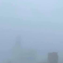 今日のレースは濃霧で中止になりました。